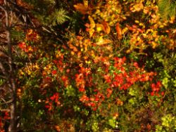 2013-10-08_Guffert (061).JPG